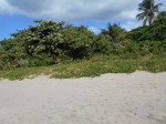 
Billy's Bay Beach
