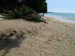 
Blacks Bay Bathing Beach
